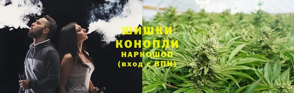 амф Магас