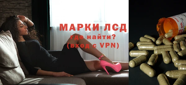 амф Магас