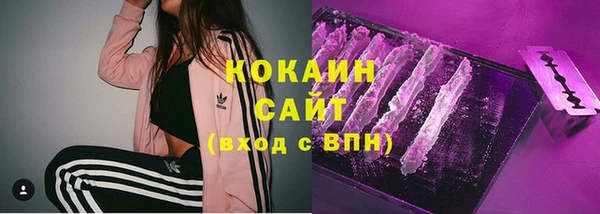 амф Магас