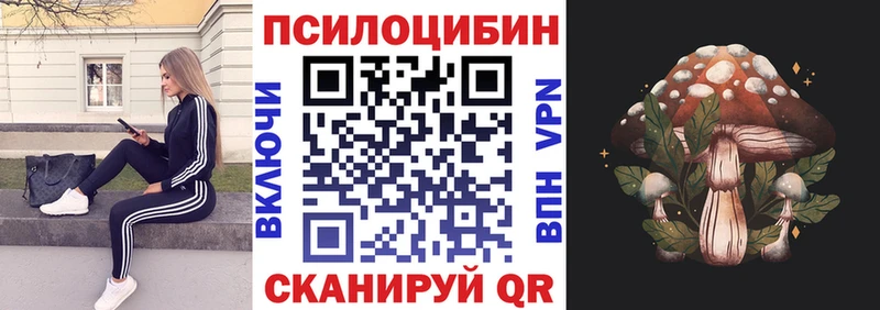 Галлюциногенные грибы мицелий закладки Артём